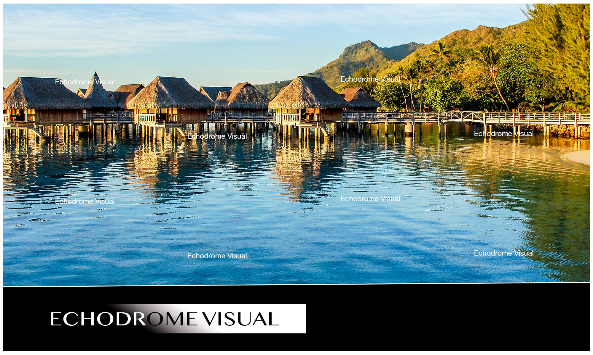Echodrome Visual